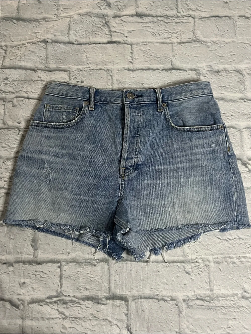 Everlane Cheeky Short High Rise Raw Hem Light Wash